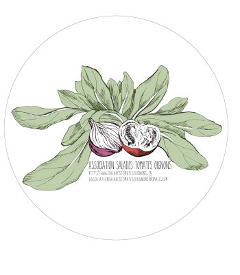 Salades Tomates Oignons